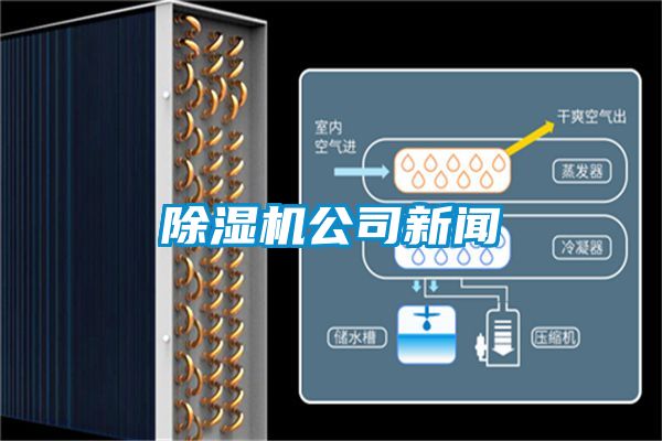 粉色视频免费在线观看公司新闻
