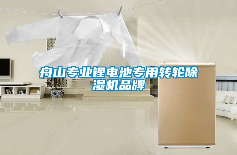 舟山专业锂电池专用转轮粉色视频免费在线观看品牌