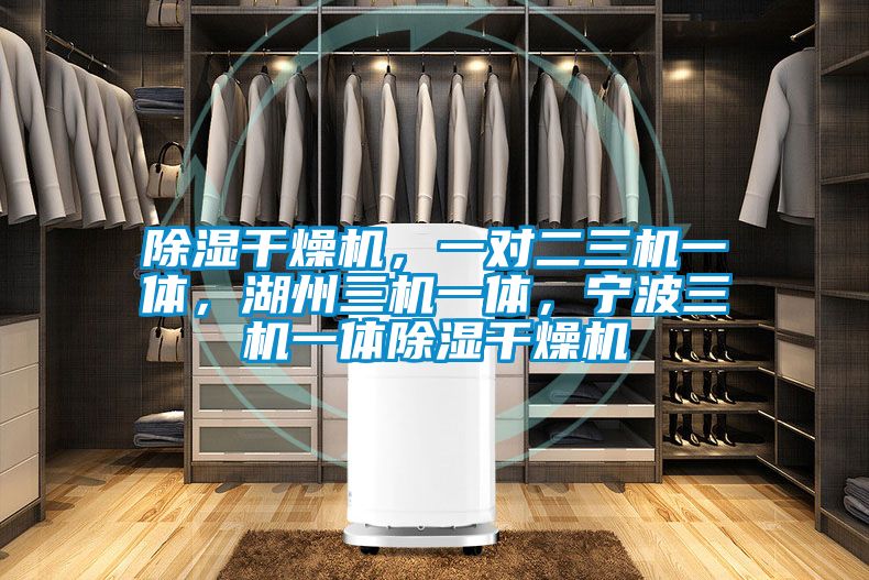 除湿干燥机，一对二三机一体，湖州三机一体，宁波三机一体除湿干燥机