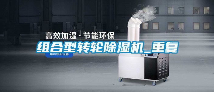 组合型转轮粉色视频免费在线观看_重复