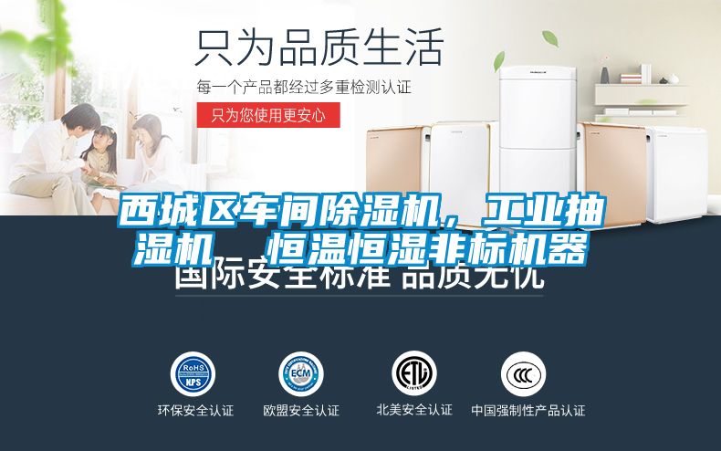 西城区车间粉色视频免费在线观看，工业抽湿机  恒温恒湿非标机器