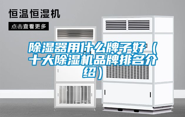 除湿器用什么牌子好（十大粉色视频免费在线观看品牌排名介绍）
