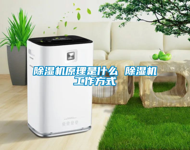 粉色视频免费在线观看原理是什么 粉色视频免费在线观看工作方式