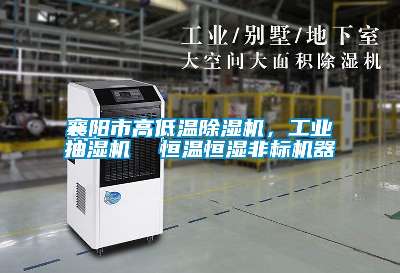 襄阳市高低温粉色视频免费在线观看，工业抽湿机  恒温恒湿非标机器