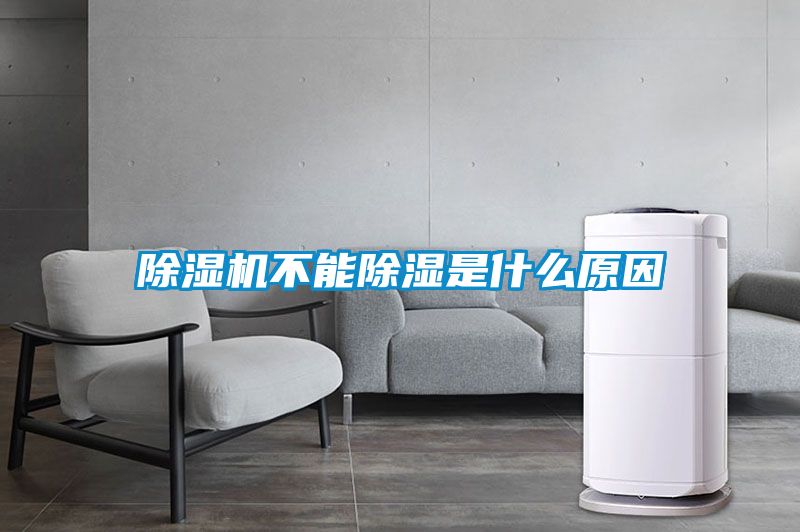 粉色视频免费在线观看不能除湿是什么原因