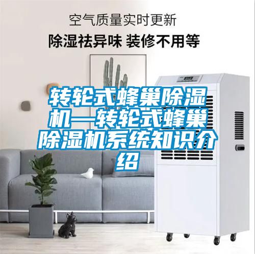 转轮式蜂巢粉色视频免费在线观看—转轮式蜂巢粉色视频免费在线观看系统知识介绍