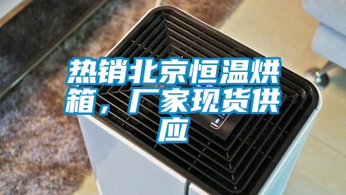 热销北京恒温烘箱，厂家现货供应