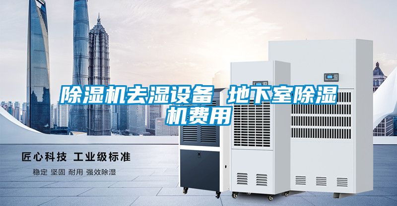粉色视频免费在线观看去湿设备 地下室粉色视频免费在线观看费用