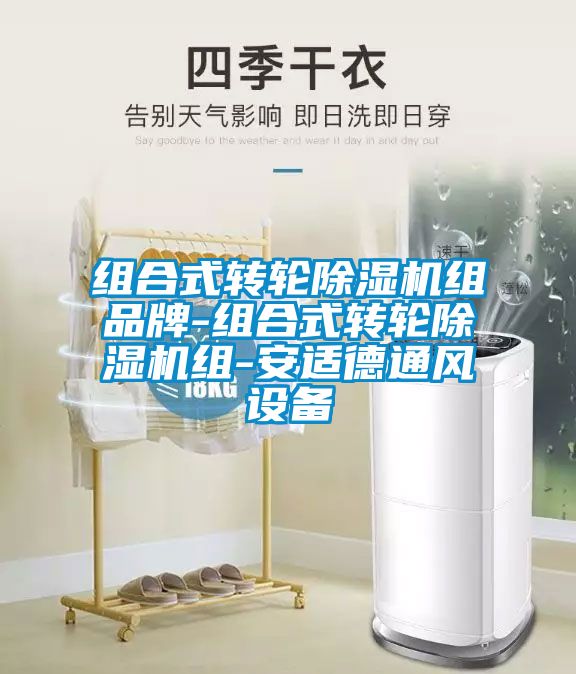 组合式转轮粉色视频免费在线观看组品牌-组合式转轮粉色视频免费在线观看组-安适德通风设备