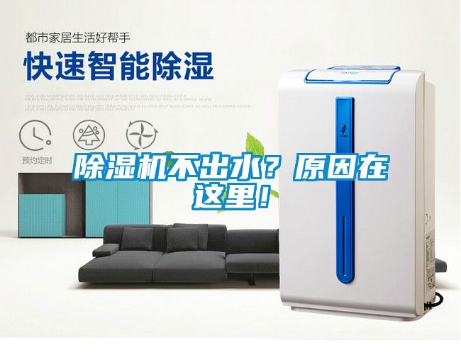 粉色视频免费在线观看不出水？原因在这里！