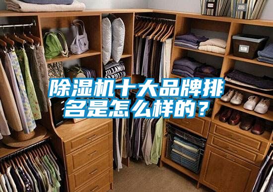 粉色视频免费在线观看十大品牌排名是怎么样的？