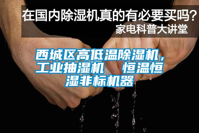 西城区高低温粉色视频免费在线观看，工业抽湿机  恒温恒湿非标机器