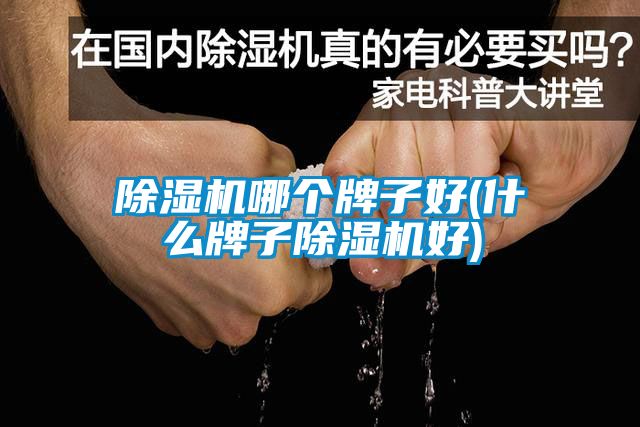 粉色视频免费在线观看哪个牌子好(什么牌子粉色视频免费在线观看好)
