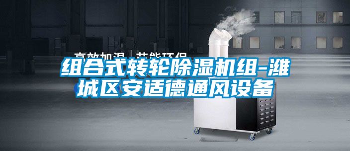 组合式转轮粉色视频免费在线观看组-潍城区安适德通风设备