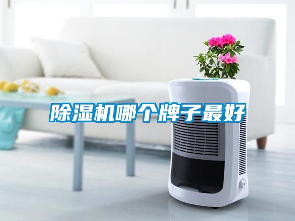 粉色视频免费在线观看哪个牌子最好