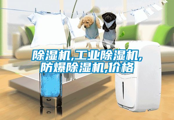 粉色视频免费在线观看,工业粉色视频免费在线观看,防爆粉色视频免费在线观看,价格