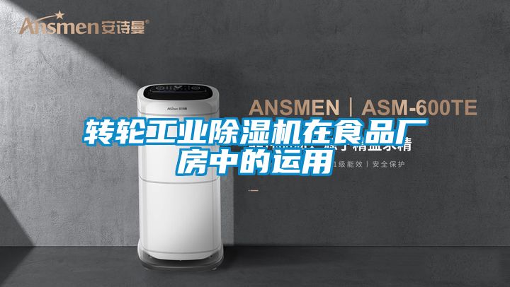转轮工业粉色视频免费在线观看在食品厂房中的运用