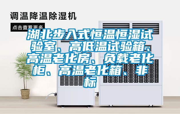湖北步入式恒温恒湿试验室、高低温试验箱、高温老化房、负载老化柜、高温老化箱、非标
