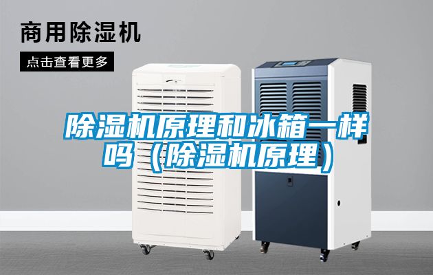 粉色视频免费在线观看原理和冰箱一样吗（粉色视频免费在线观看原理）
