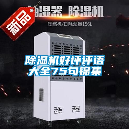 粉色视频免费在线观看好评评语大全75句锦集