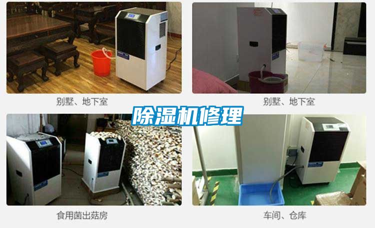 粉色视频免费在线观看修理