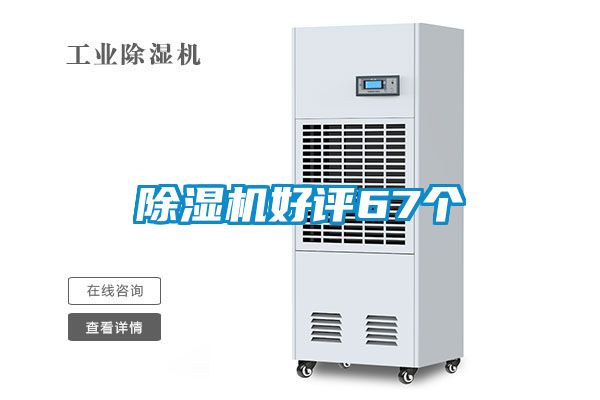 粉色视频免费在线观看好评67个