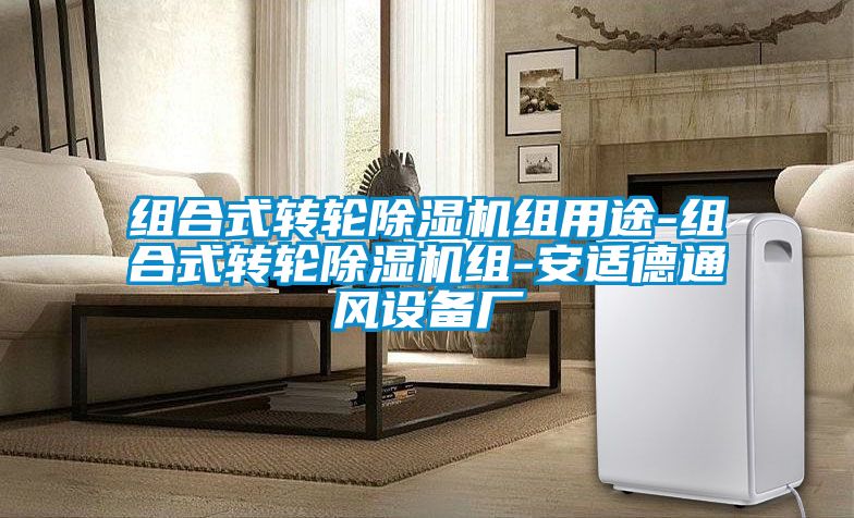 组合式转轮粉色视频免费在线观看组用途-组合式转轮粉色视频免费在线观看组-安适德通风设备厂