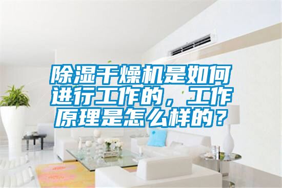 除湿干燥机是如何进行工作的，工作原理是怎么样的？