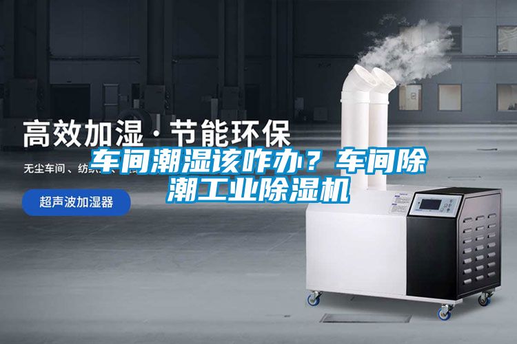 车间潮湿该咋办？车间除潮工业粉色视频免费在线观看