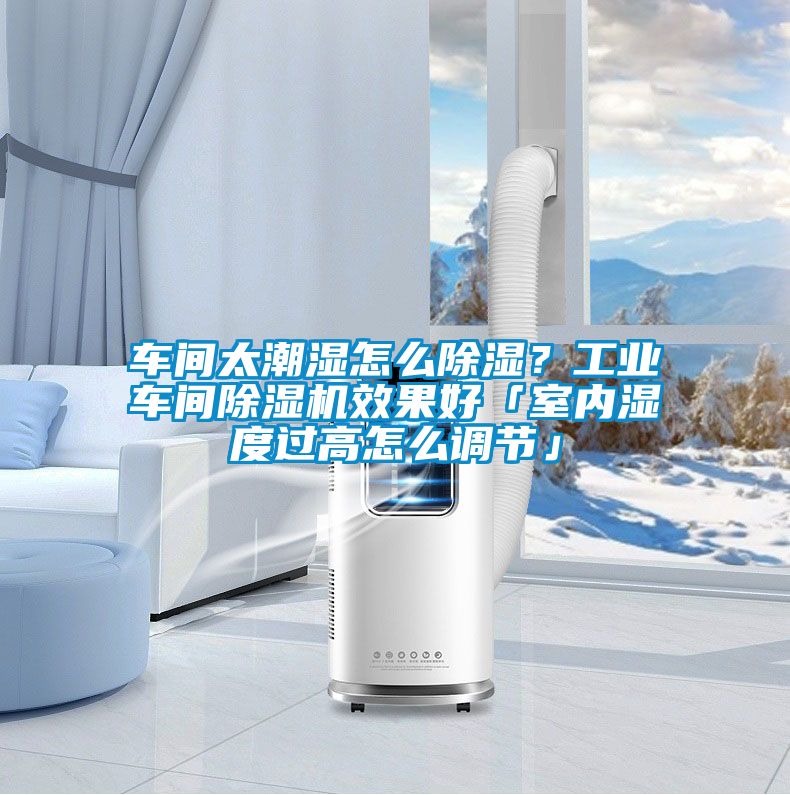车间太潮湿怎么除湿？工业车间粉色视频免费在线观看效果好「室内湿度过高怎么调节」