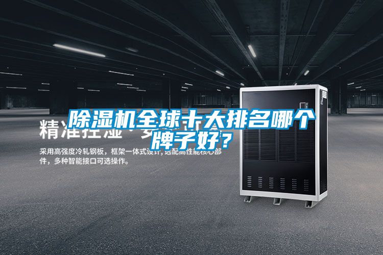 粉色视频免费在线观看全球十大排名哪个牌子好？