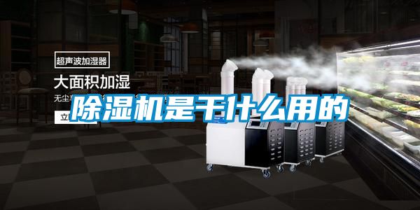 粉色视频免费在线观看是干什么用的
