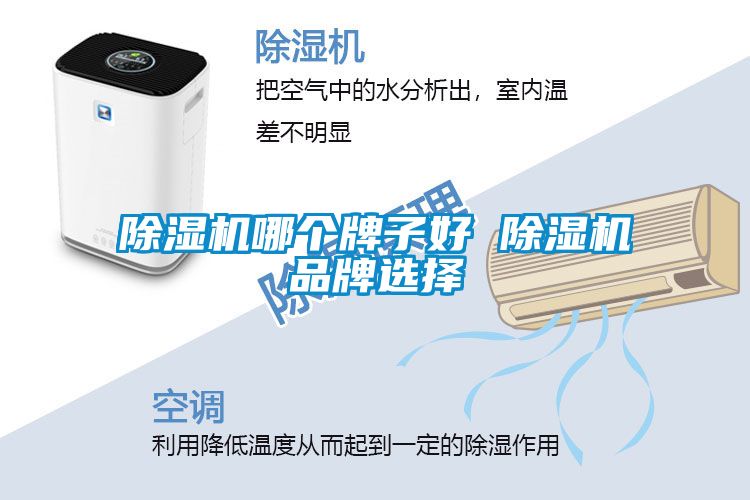 粉色视频免费在线观看哪个牌子好 粉色视频免费在线观看品牌选择