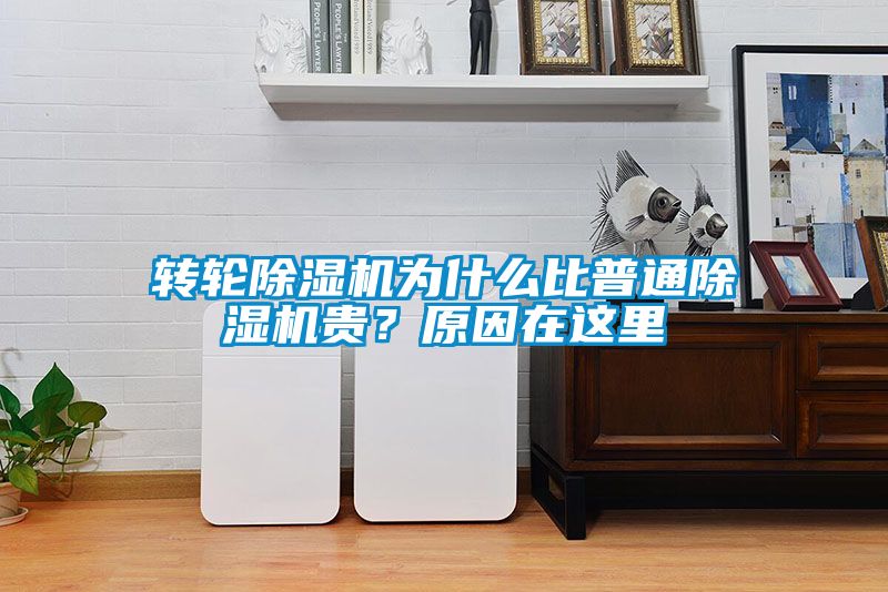 转轮粉色视频免费在线观看为什么比普通粉色视频免费在线观看贵？原因在这里