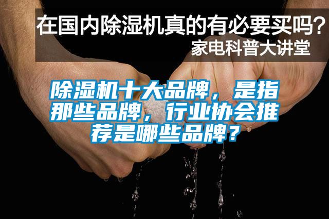 粉色视频免费在线观看十大品牌，是指那些品牌，行业协会推荐是哪些品牌？