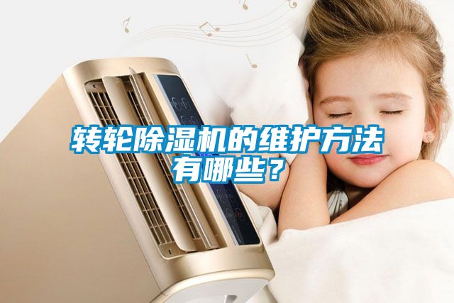 转轮粉色视频免费在线观看的维护方法有哪些？