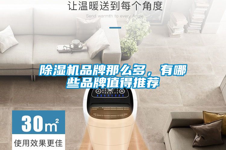 粉色视频免费在线观看品牌那么多，有哪些品牌值得推荐
