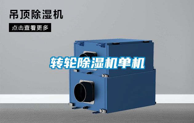 转轮粉色视频免费在线观看单机