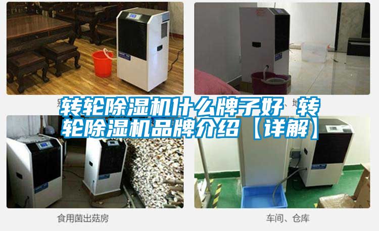 转轮粉色视频免费在线观看什么牌子好 转轮粉色视频免费在线观看品牌介绍【详解】