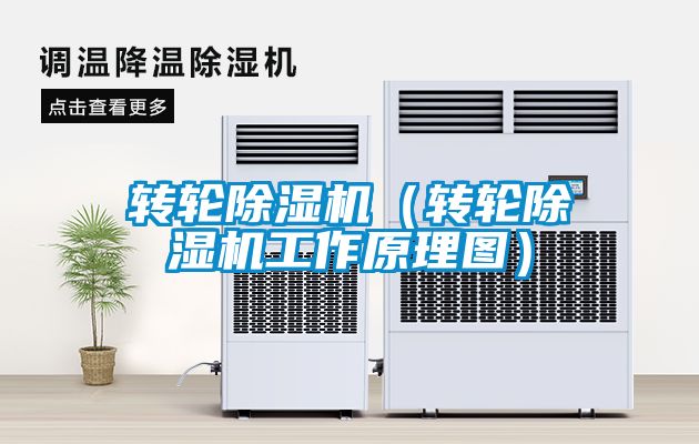 转轮粉色视频免费在线观看（转轮粉色视频免费在线观看工作原理图）