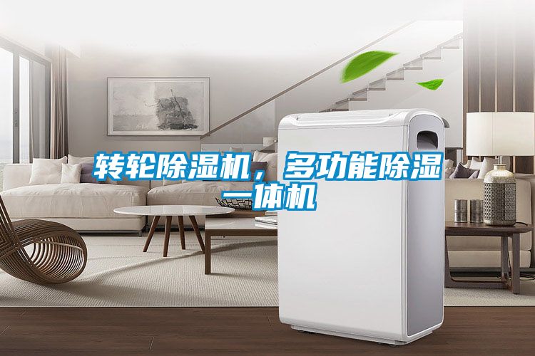 转轮粉色视频免费在线观看，多功能除湿一体机