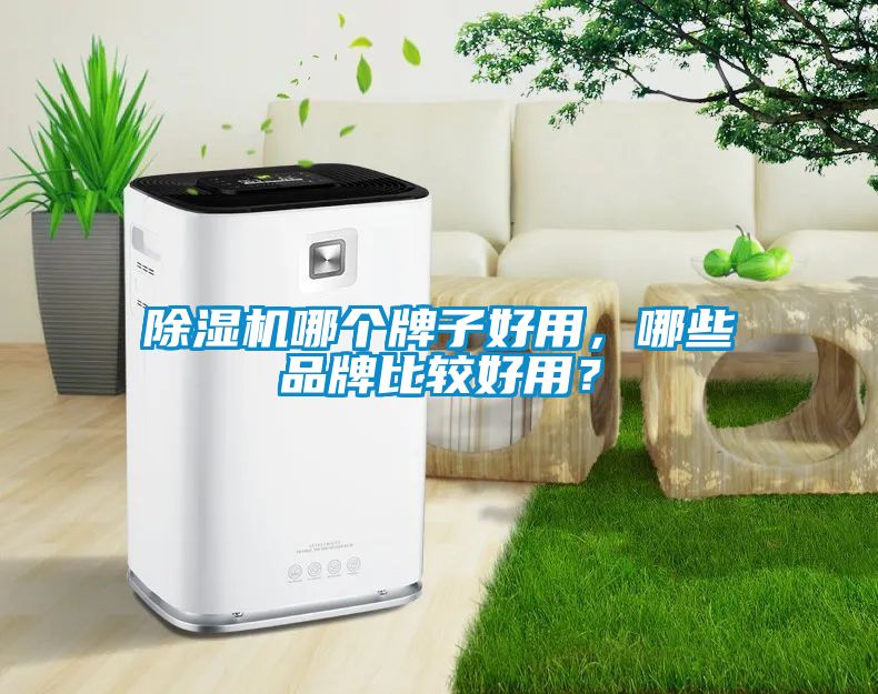 粉色视频免费在线观看哪个牌子好用，哪些品牌比较好用？