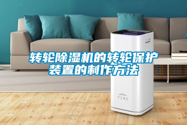转轮粉色视频免费在线观看的转轮保护装置的制作方法