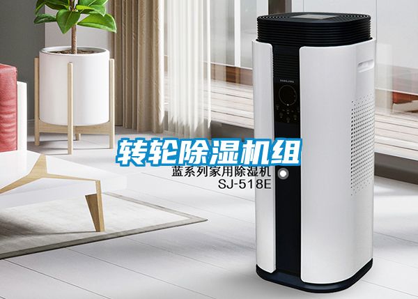 转轮粉色视频免费在线观看组