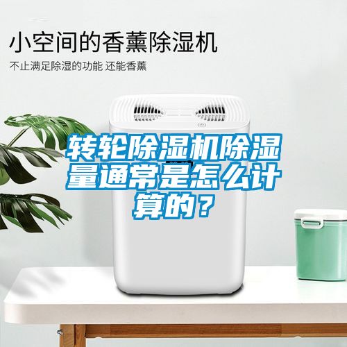转轮粉色视频免费在线观看除湿量通常是怎么计算的？