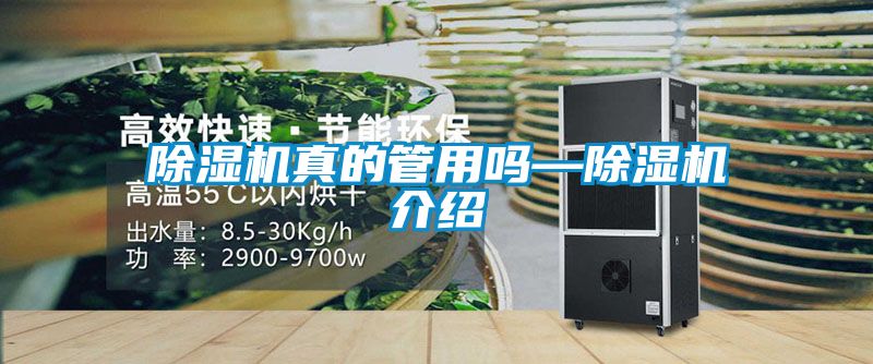 粉色视频免费在线观看真的管用吗—粉色视频免费在线观看介绍