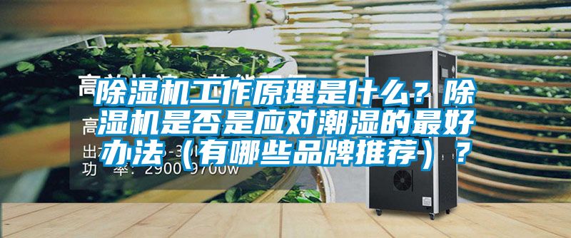 粉色视频免费在线观看工作原理是什么？粉色视频免费在线观看是否是应对潮湿的最好办法（有哪些品牌推荐）？