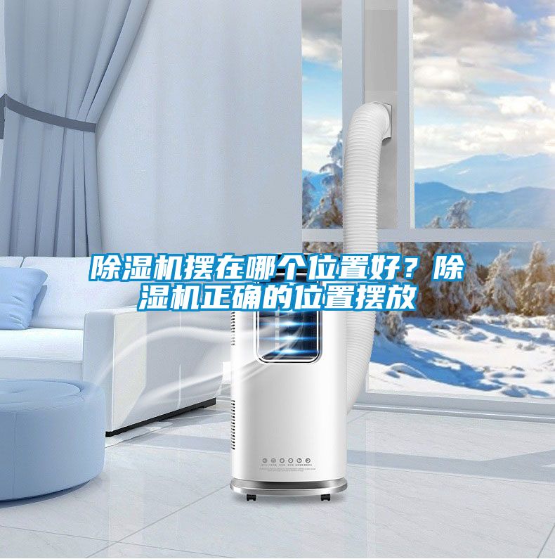 粉色视频免费在线观看摆在哪个位置好？粉色视频免费在线观看正确的位置摆放