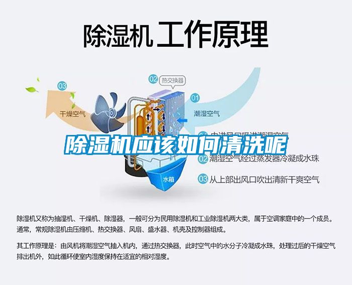 粉色视频免费在线观看应该如何清洗呢