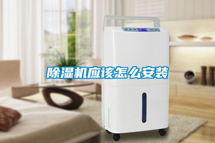 粉色视频免费在线观看应该怎么安装